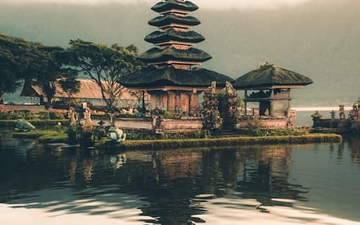 Ubud Rice Terrace & Monkey Forest Tour